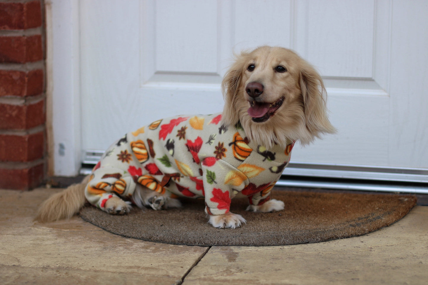 Autumn Spice Fleece Dog Jumpsuit - Made to Measure, Rainproof & Super Snug