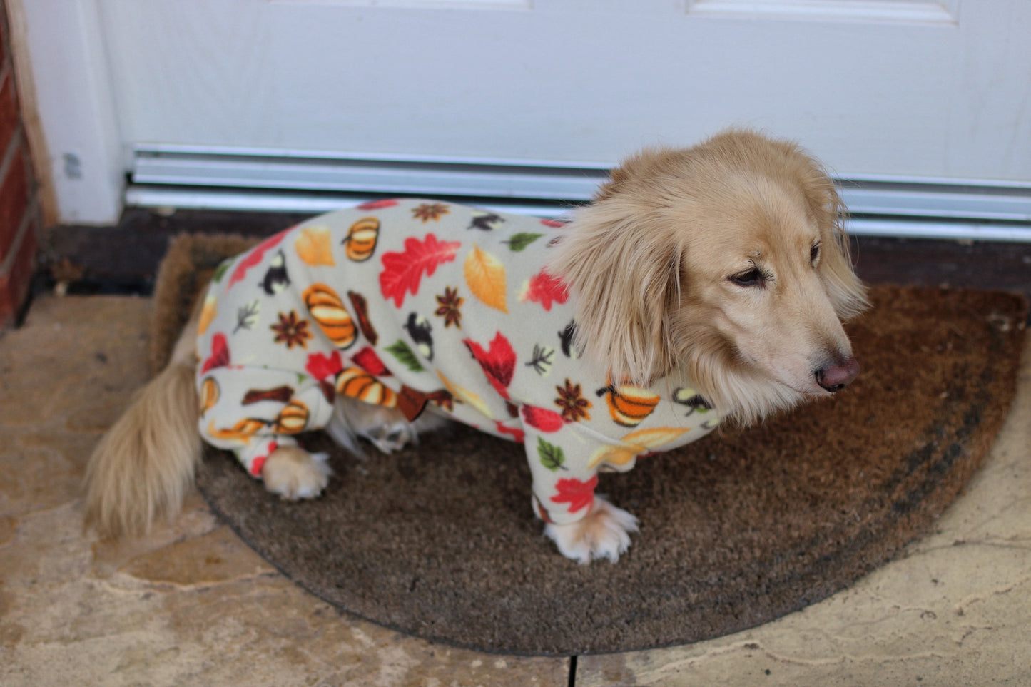 Autumn Spice Fleece Dog Jumpsuit - Made to Measure, Rainproof & Super Snug
