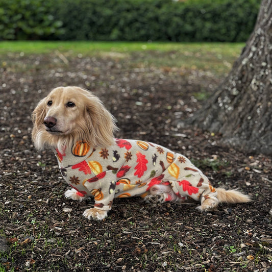 Dog wearing a colorful outfit standing outdoors near a tree and houses.