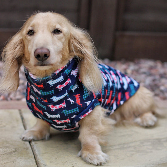 Dog wearing a colorful sweater with dog patterns on a wooden deck.