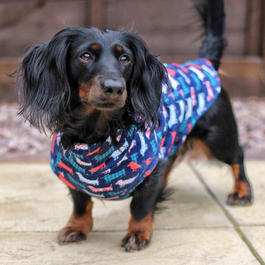 Dog wearing a colorful patterned coat standing on a wooden deck.