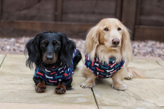 Hugo and Ted Print Waterproof Rainfleece Dog Coats – Made to Measure