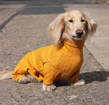 Pulls pour chiens en tricot torsadé