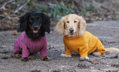 Pulls pour chiens en tricot torsadé
