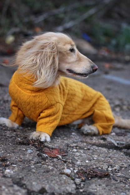 Pulls pour chiens en tricot torsadé