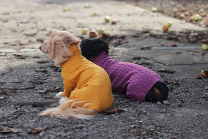 Pulls pour chiens en tricot torsadé