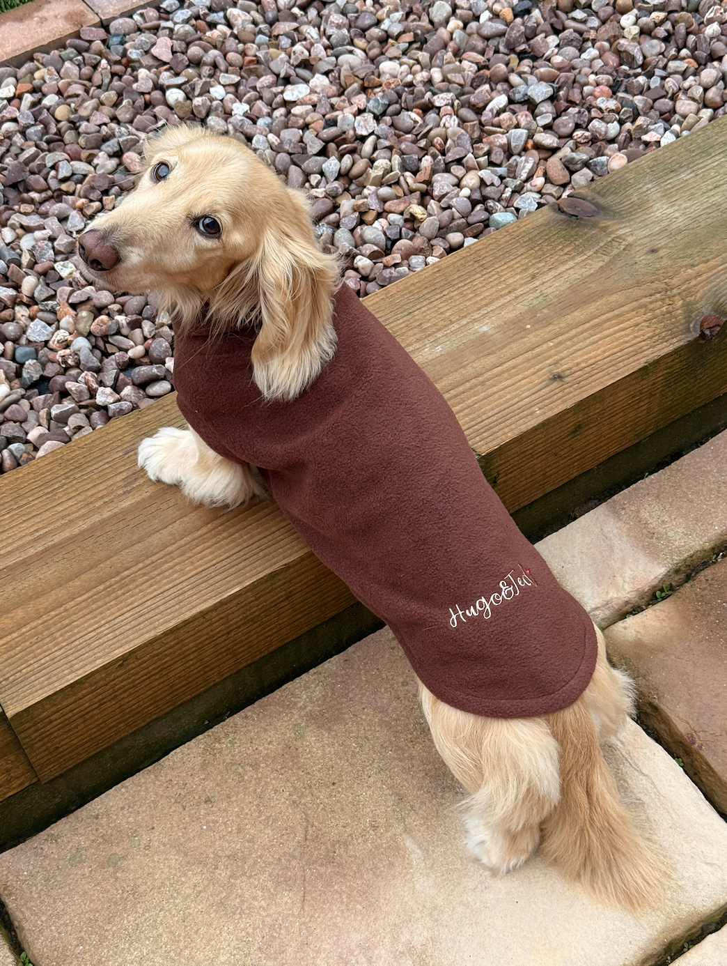 Pawblicity Jumpers | Standard Sized Fleece Snuggle Jumper | Hugo and Ted