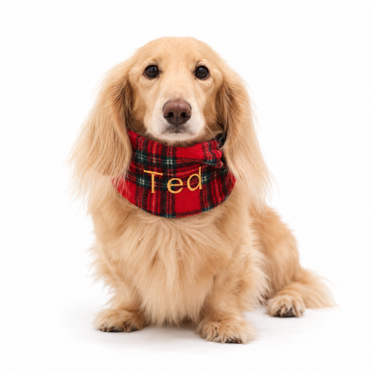 Red tartan personalised dog snood embroidered with a name - Hugo and Ted