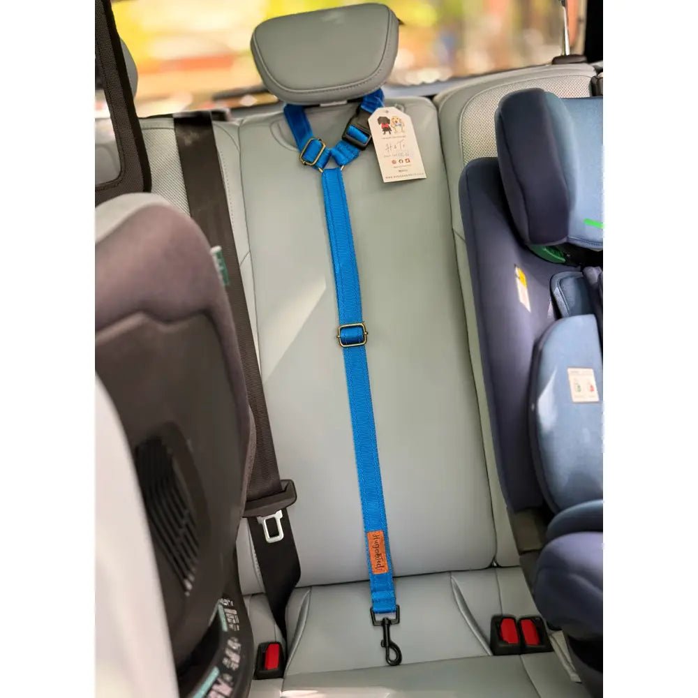 Adjustable Dog Car Headrest Seatbelt - Universal Fit | Hugo and Ted - Hugo and Ted