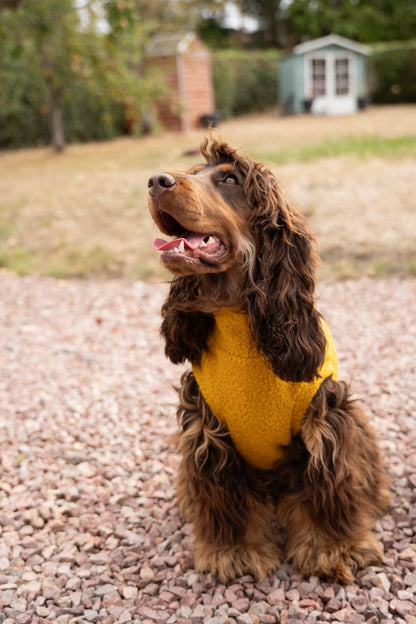 Autumn Bouclé Dog Jumpers – Luxury Made - to - Measure Knitwear for Dogs - Hugo and Ted