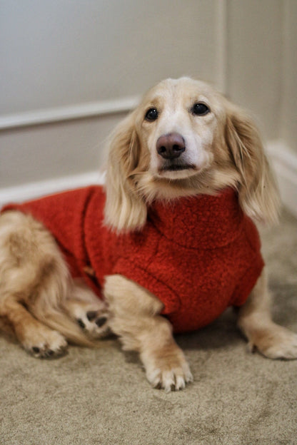 Autumn Bouclé Dog Jumpers – Luxury Made - to - Measure Knitwear for Dogs - Hugo and Ted