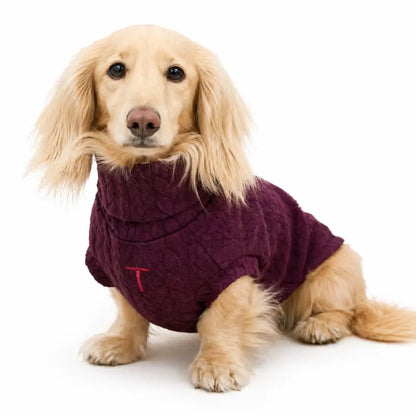 Autumn Cable Knit Dog Jumpers - Soft and Practical Dog Jumpers - Hugo and Ted