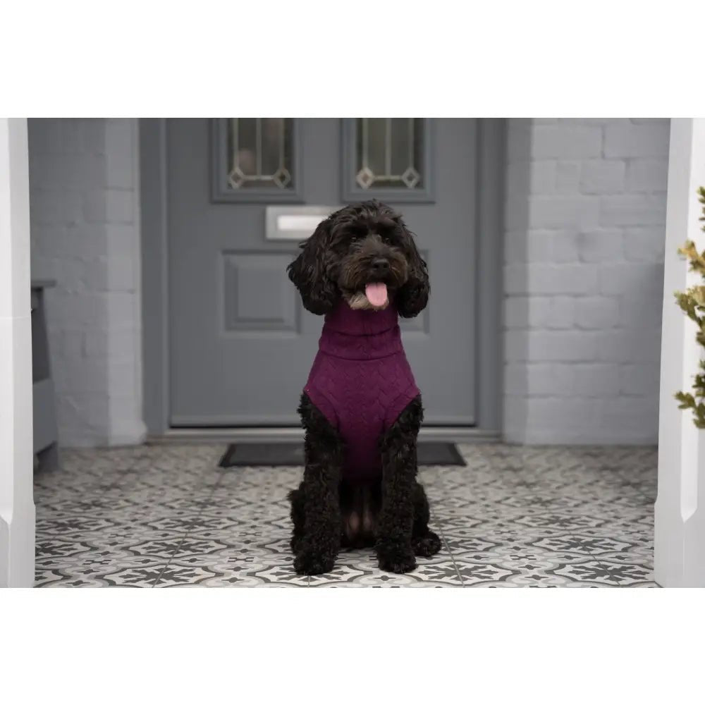 Autumn Cable Knit Dog Jumpers - Soft and Practical Dog Jumpers - Hugo and Ted
