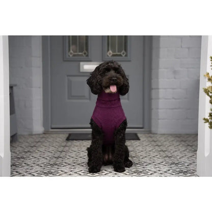 Autumn Cable Knit Dog Jumpers - Soft and Practical Dog Jumpers - Hugo and Ted