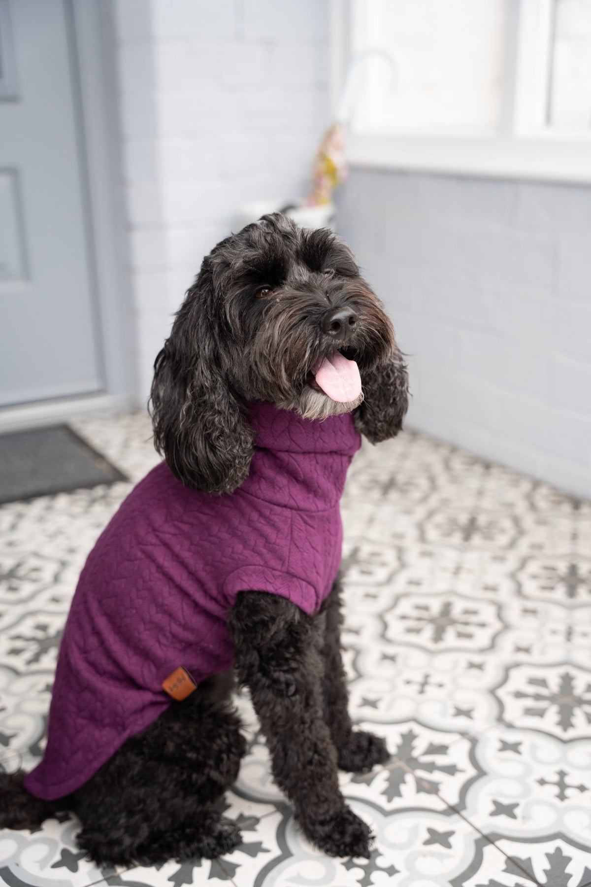 Autumn Cable Knit Dog Jumpers - Soft and Practical Dog Jumpers - Hugo and Ted