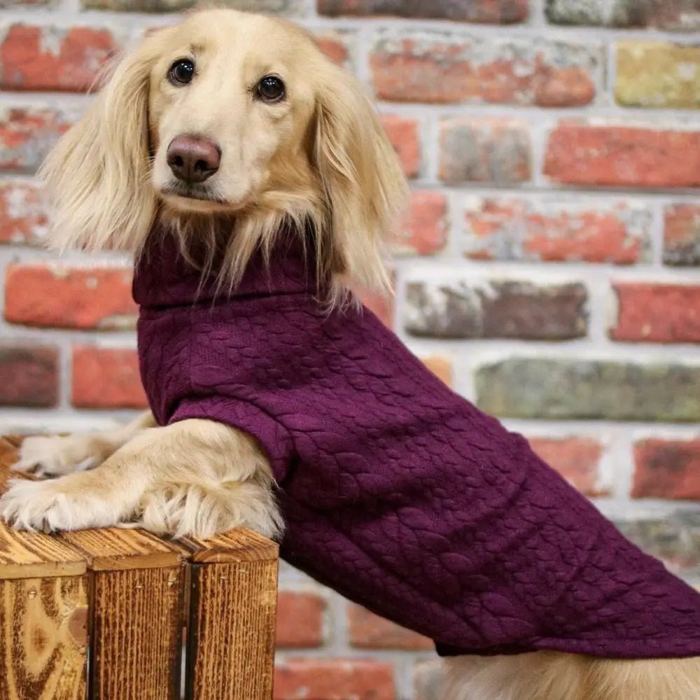 Autumn Cable Knit Dog Jumpers - Soft and Practical Dog Jumpers - Hugo and Ted