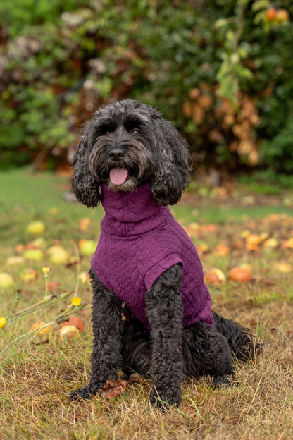 Autumn Cable Knit Dog Jumpers - Soft and Practical Dog Jumpers - Hugo and Ted