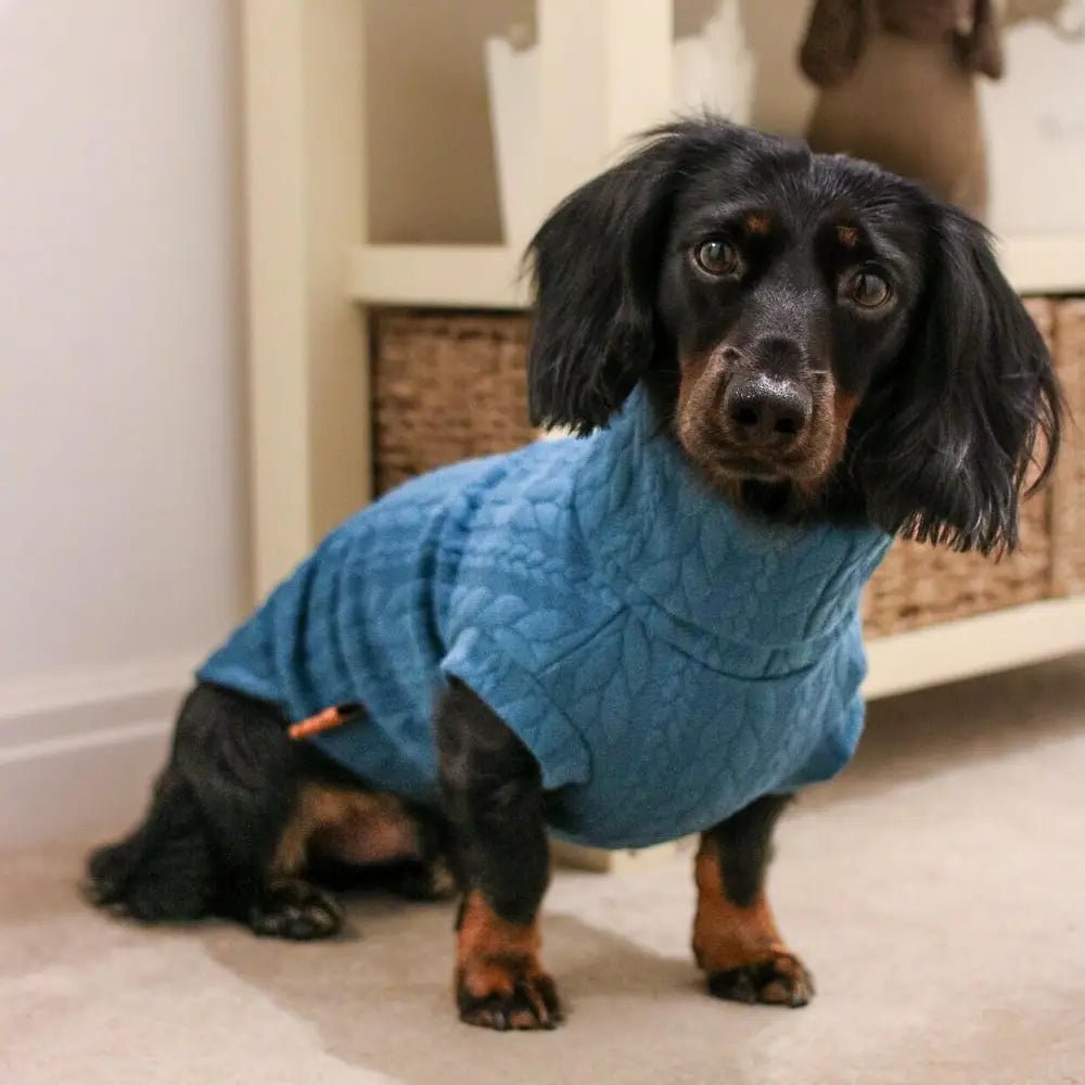 Autumn Cable Knit Dog Jumpers - Soft and Practical Dog Jumpers - Hugo and Ted