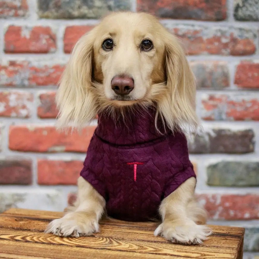 Autumn Cable Knit Dog Jumpers - Soft and Practical Dog Jumpers - Hugo and Ted