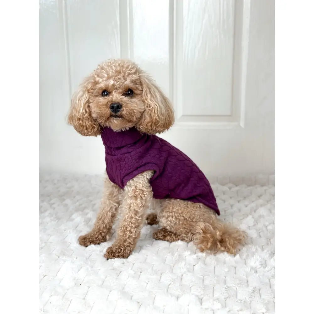 Autumn Cable Knit Dog Jumpers - Soft and Practical Dog Jumpers - Hugo and Ted