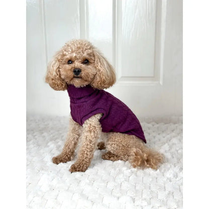 Autumn Cable Knit Dog Jumpers - Soft and Practical Dog Jumpers - Hugo and Ted