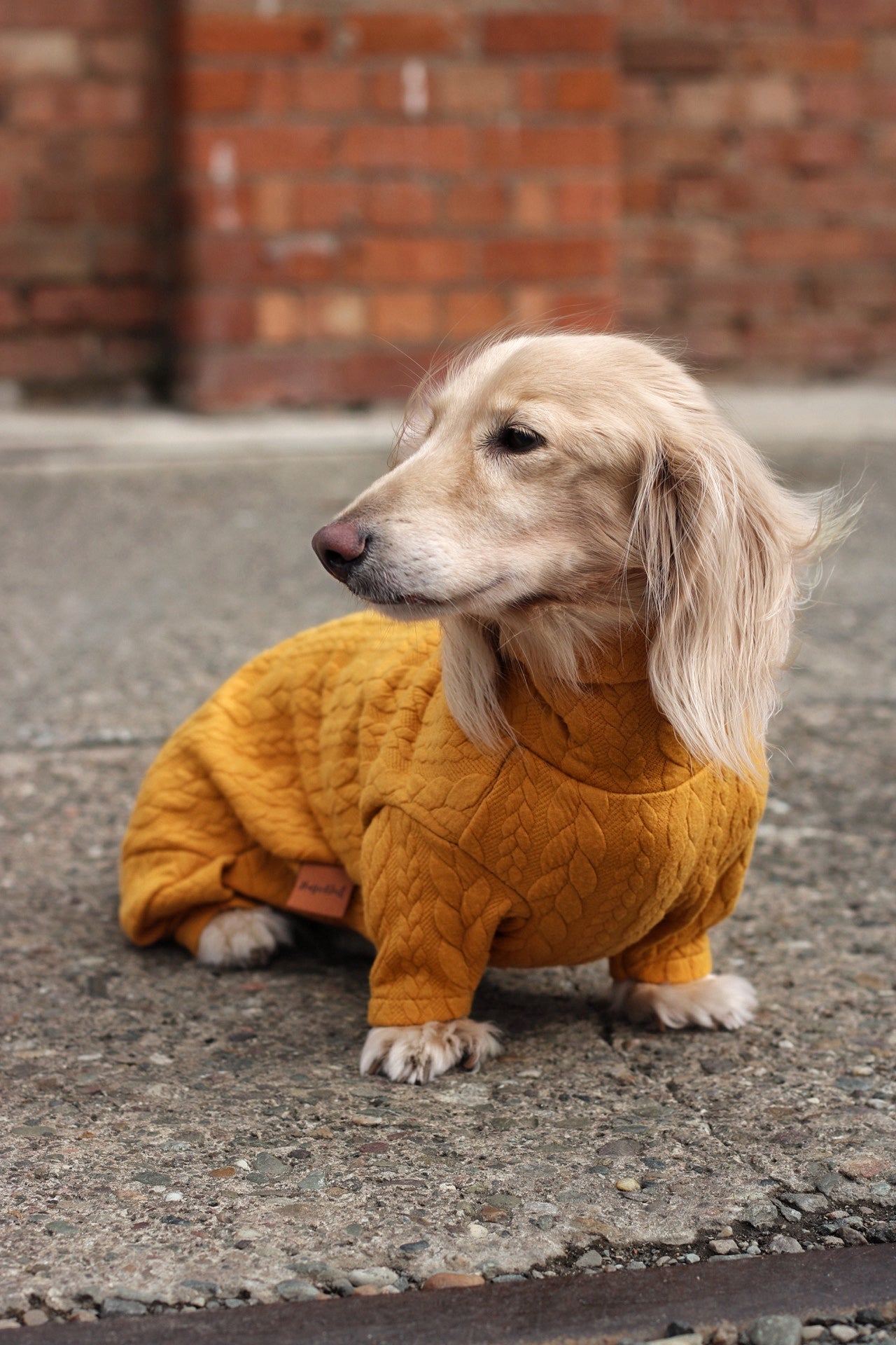 Autumn Cable Knit Dog Jumpsuits - Soft and Practical Dog Jumpers - Hugo and Ted
