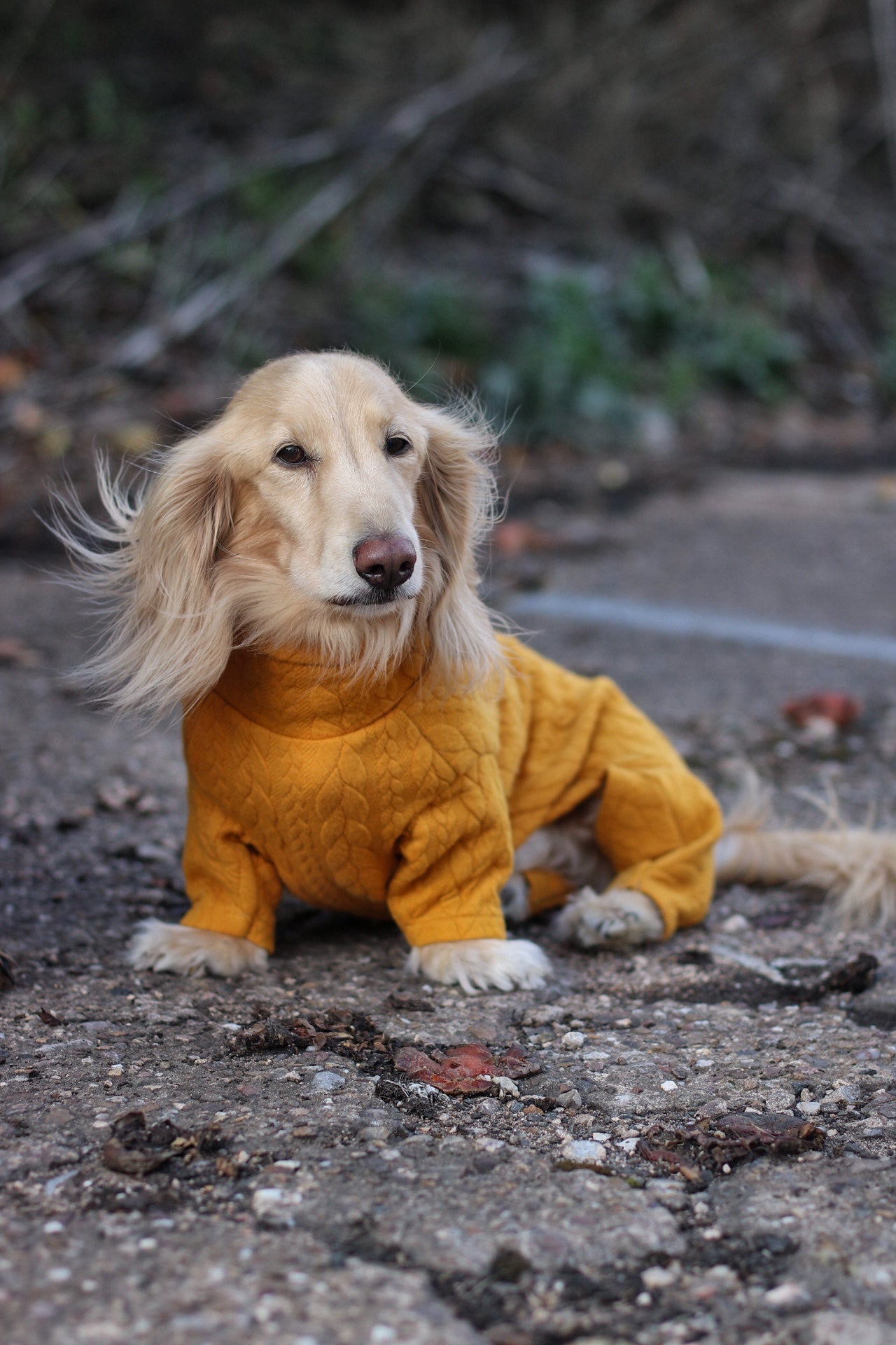 Autumn Cable Knit Dog Jumpsuits - Soft and Practical Dog Jumpers - Hugo and Ted