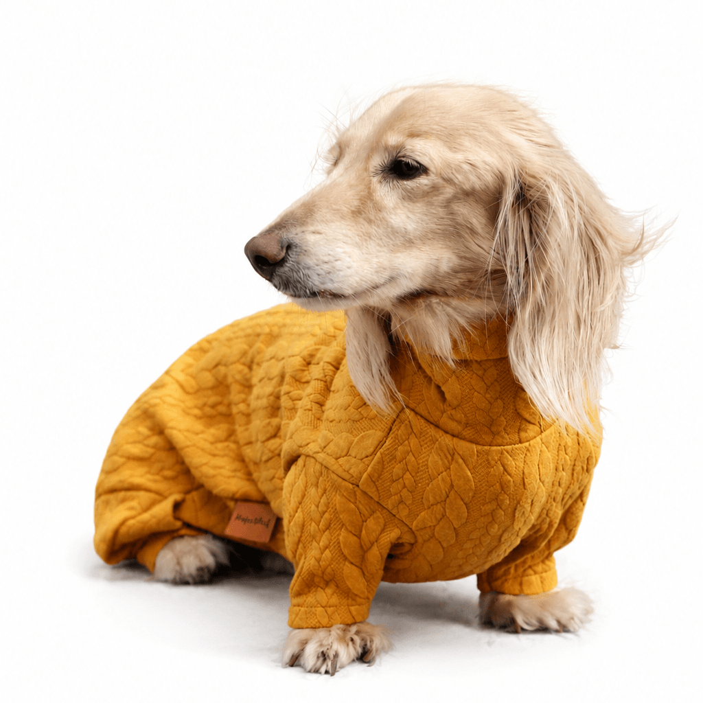Autumn Cable Knit Dog Jumpsuits - Soft and Practical Dog Jumpers - Hugo and Ted