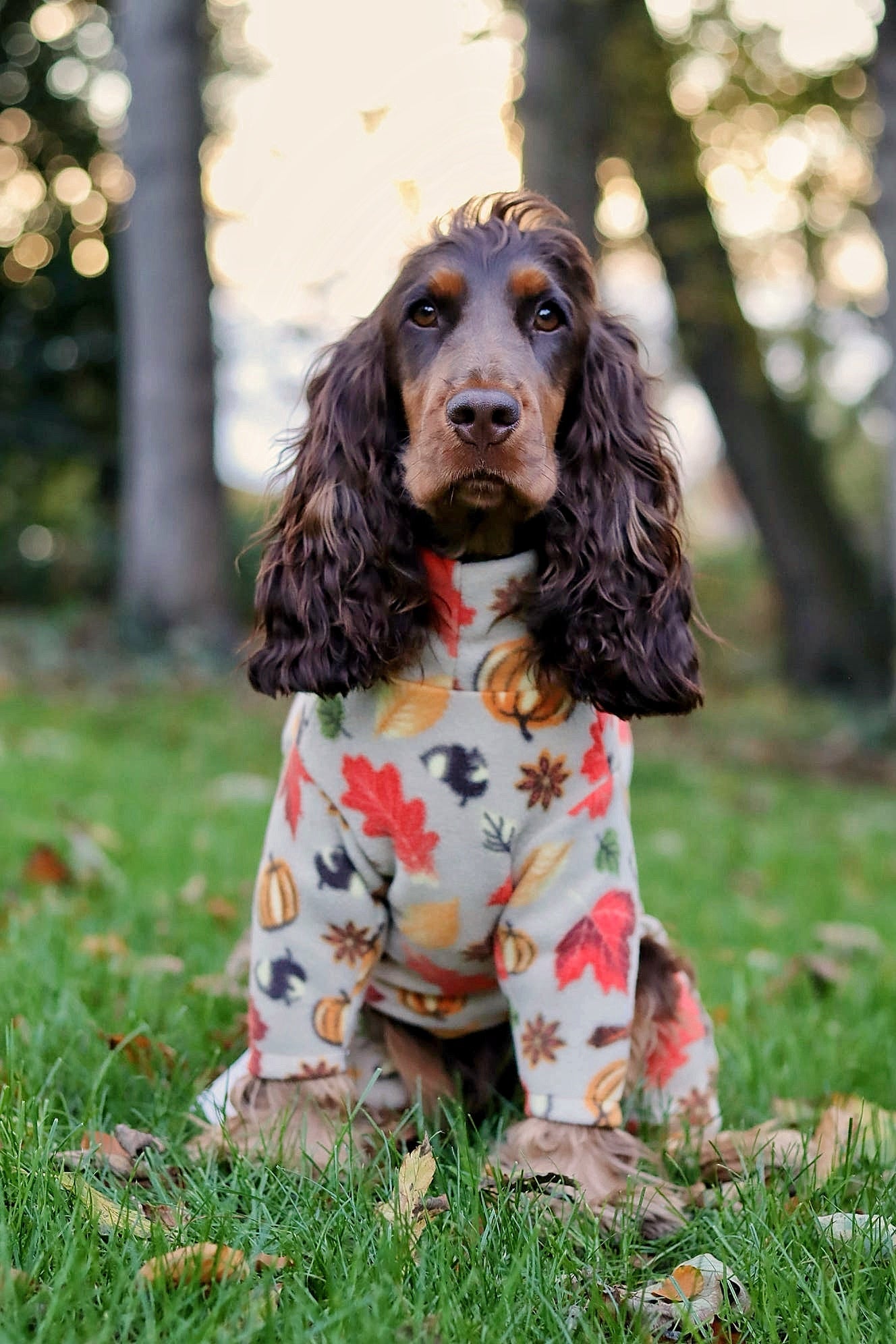 Autumn Spice Fleece Dog Jumpsuit - Made to Measure, Rainproof & Super Snug - Hugo and Ted