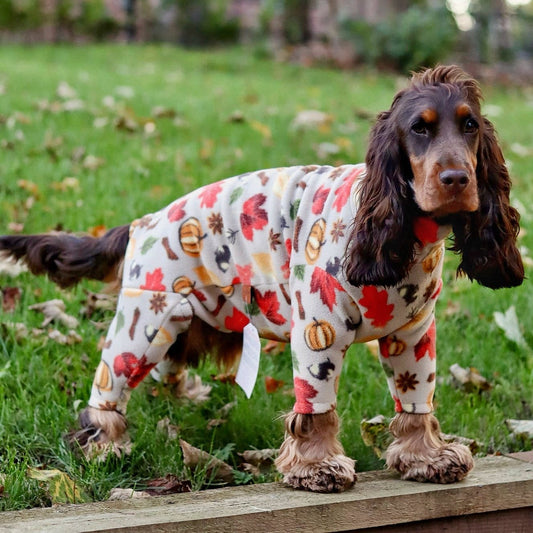 Autumn Spice Fleece Dog Jumpsuit - Made to Measure, Rainproof & Super Snug - Hugo and Ted