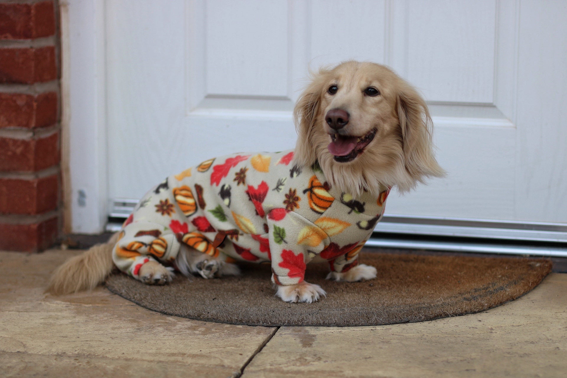 Autumn Spice Fleece Dog Jumpsuit - Made to Measure, Rainproof & Super Snug - Hugo and Ted