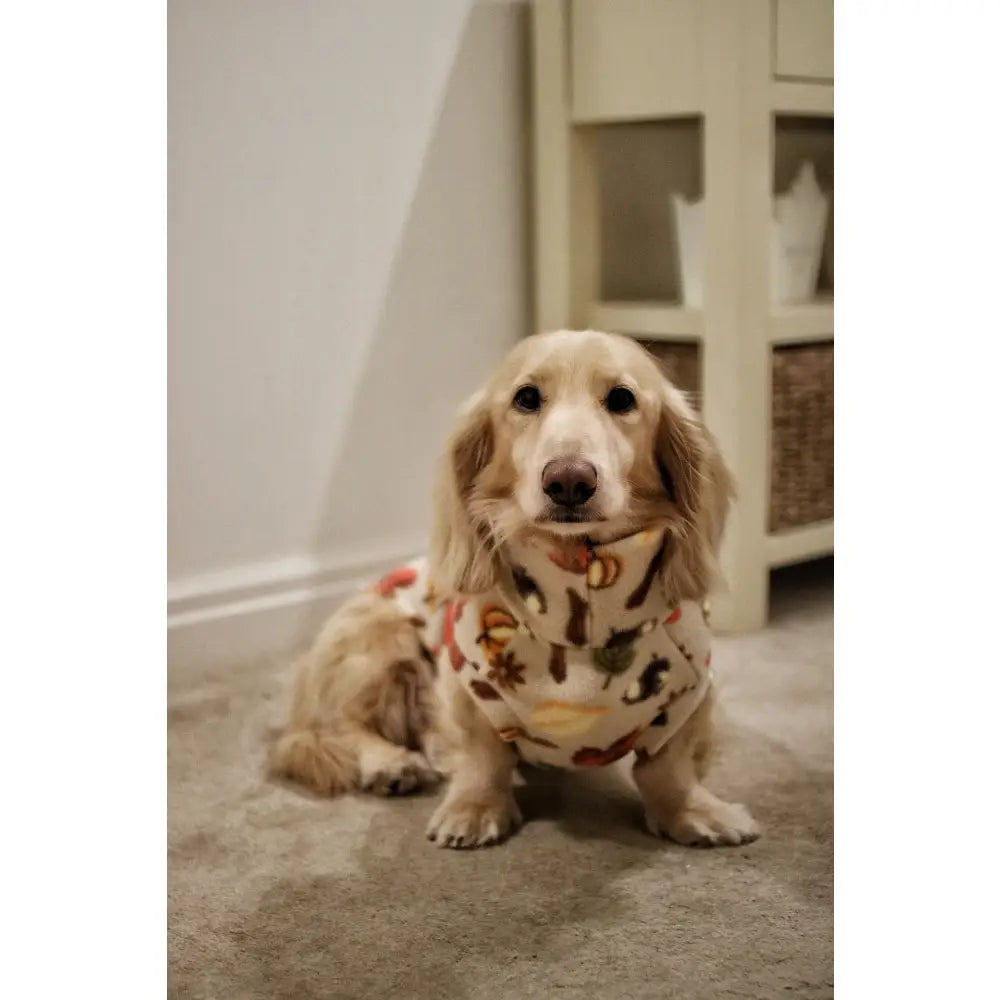 Autumn Spice Snuggle Jumpers – Custom Fit & Rainproof - Hugo and Ted