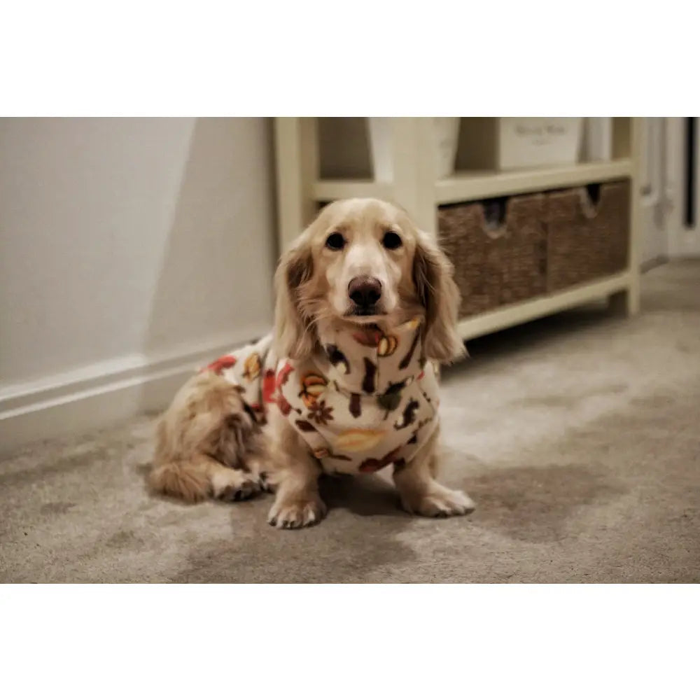 Autumn Spice Snuggle Jumpers – Custom Fit & Rainproof - Hugo and Ted