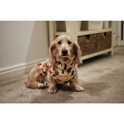 Autumn Spice Snuggle Jumpers – Custom Fit & Rainproof - Hugo and Ted