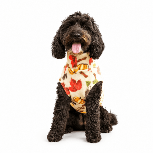Autumn Spice Snuggle Jumper - Made to Measure - Hugo and Ted