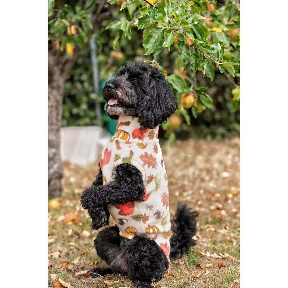 Autumn Spice Snuggle Jumpers – Custom Fit & Rainproof - Hugo and Ted