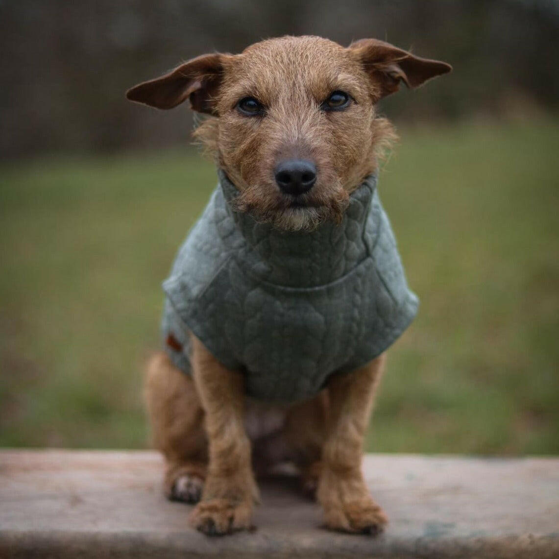 Cable Knit Dog Jumpers - Hugo and Ted