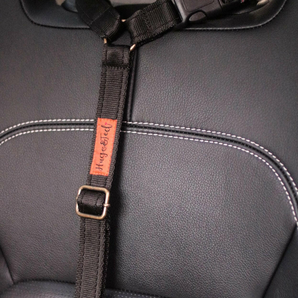 Car Seatbelts - Hugo and Ted