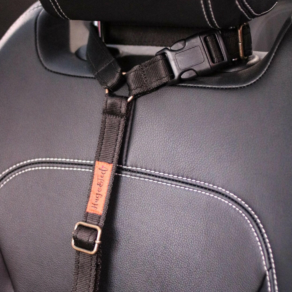 Car Seatbelts - Hugo and Ted