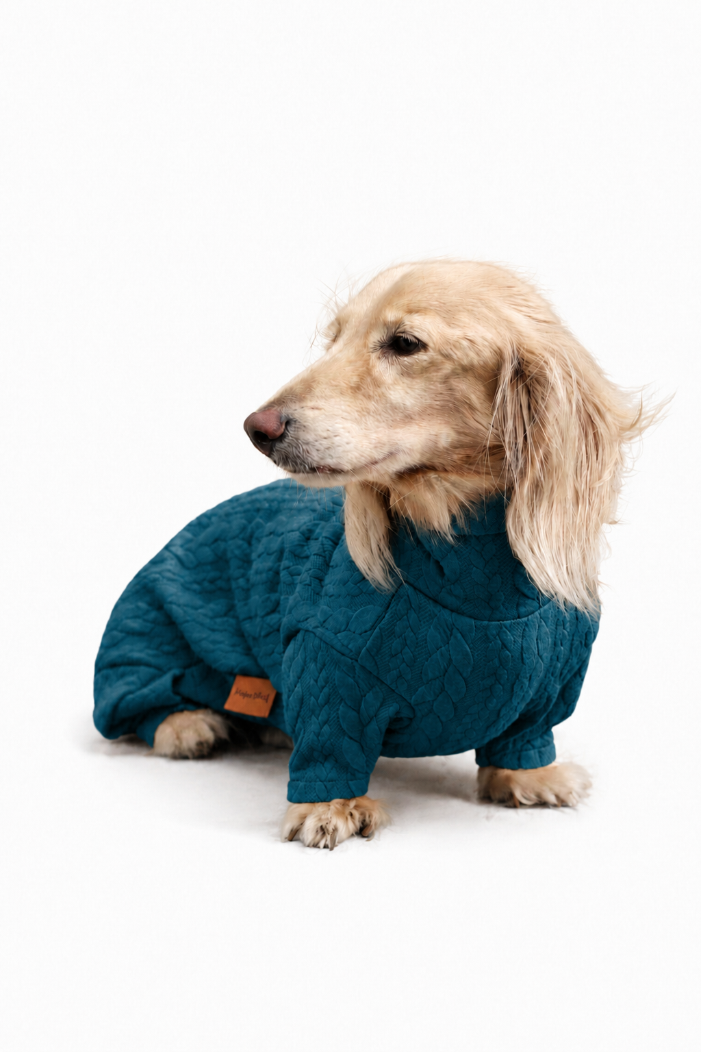 Pulls pour chiens en tricot torsadé