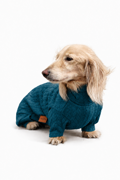 Pulls pour chiens en tricot torsadé