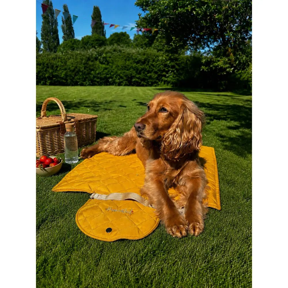 Discontinued Quilted Fabric Waterproof Dog Walkies Mat - Personalised, 2 Sizes - Hugo and Ted