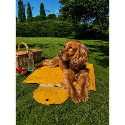 Discontinued Quilted Fabric Waterproof Dog Walkies Mat - Personalised, 2 Sizes - Hugo and Ted