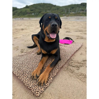 Discontinued Quilted Fabric Waterproof Dog Walkies Mat - Personalised, 2 Sizes - Hugo and Ted