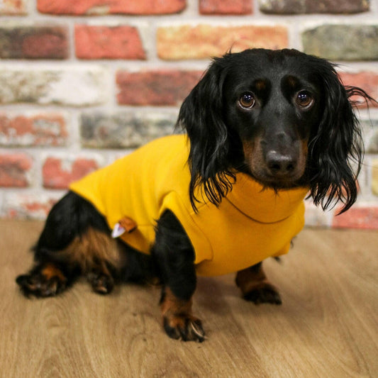 Dog Sweatshirts - Hugo and Ted