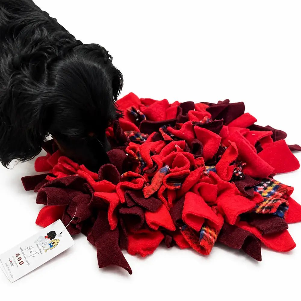 Eco Handmade Dog Snuffle Mat - 2 Sizes, 4 Colour Themes - Hugo and Ted