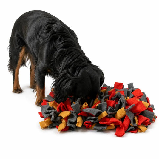 Eco Handmade Dog Snuffle Mat - 2 Sizes, 4 Colour Themes - Hugo and Ted