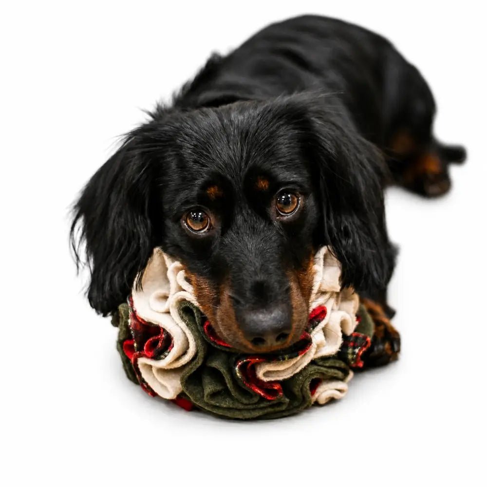 Eco Handmade Fleece Dog Snuffle Ball - Enrichment Toy, 2 Sizes - Hugo and Ted
