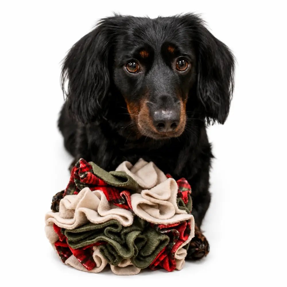 Eco Handmade Fleece Dog Snuffle Ball - Enrichment Toy, 2 Sizes - Hugo and Ted