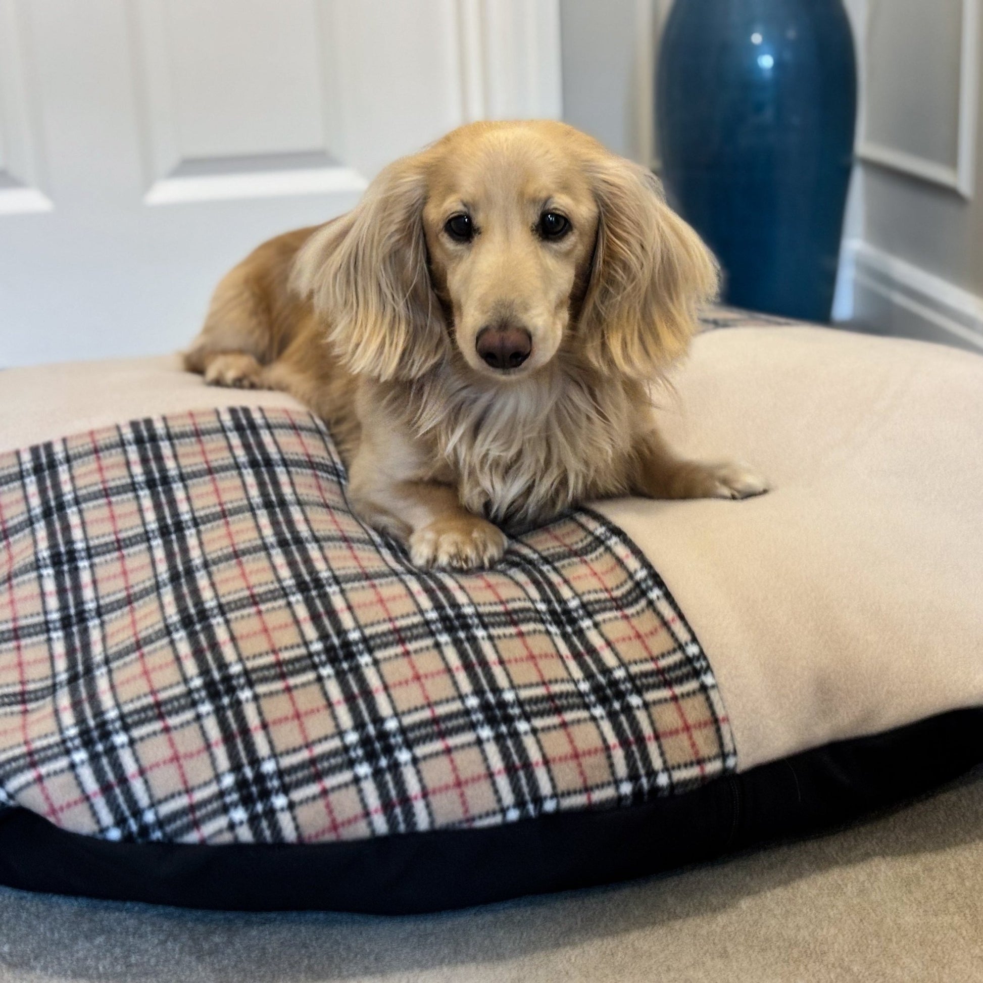 Eco - Pizza Beds - Hugo and Ted